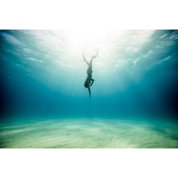 PADI Basic Freediver